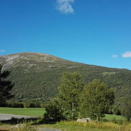 Driva Guest house Oppdal